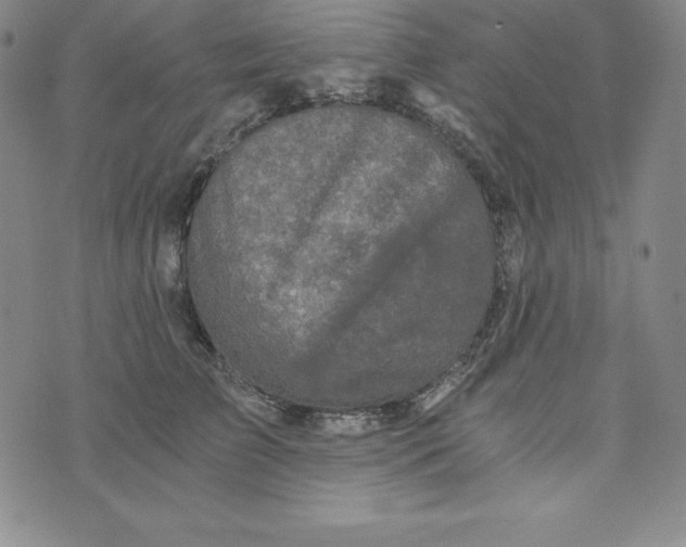 X0000074000709200609111558