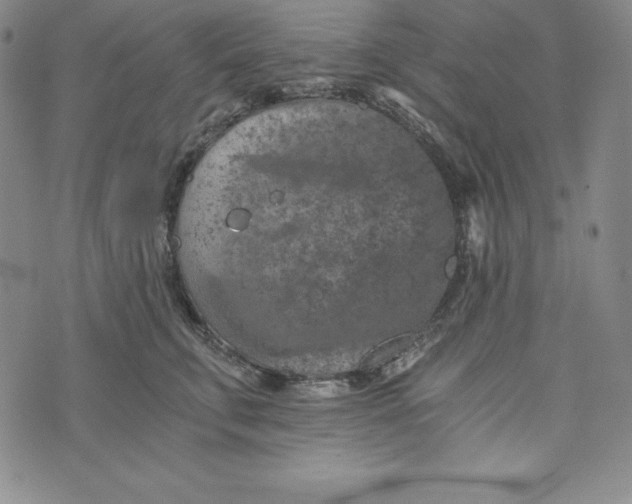 X0000074000711200609111558