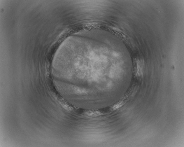 X0000074000712200609111558