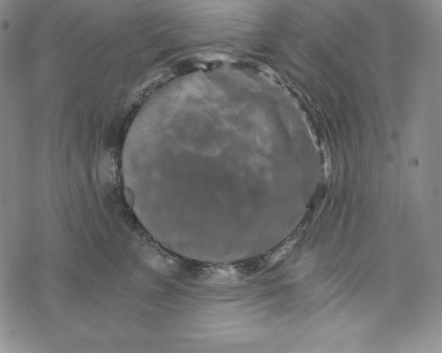 X0000074000715200609111558