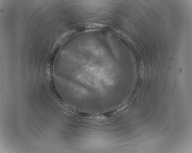 X0000074000716200609111558