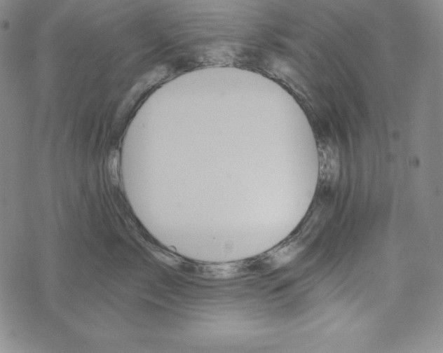 X0000074000717200609111558