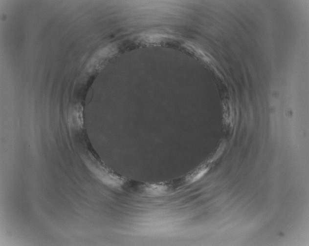 X0000074000718200609111558