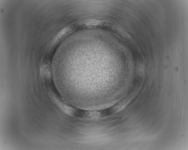 X0000074000719200609111558