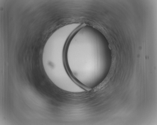 X0000074000720200609111558