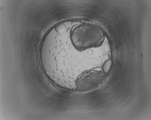 X0000074000721200609111557