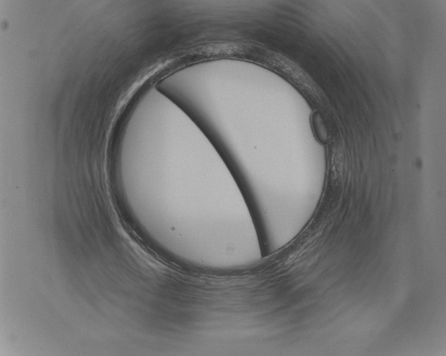 X0000074000722200609111557