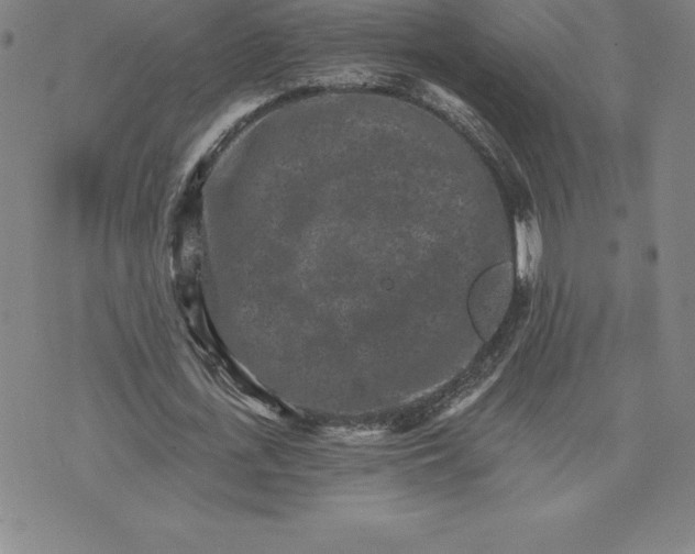 X0000074000723200609111557