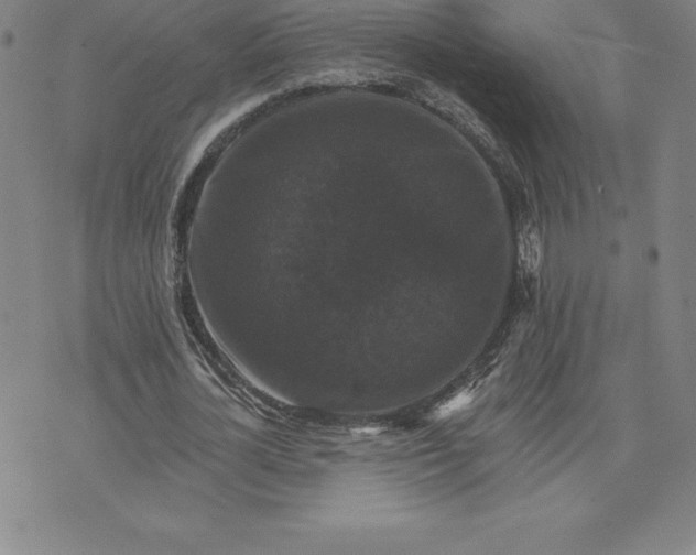 X0000074000724200609111557