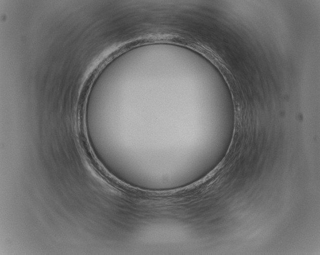 X0000074000726200609111557