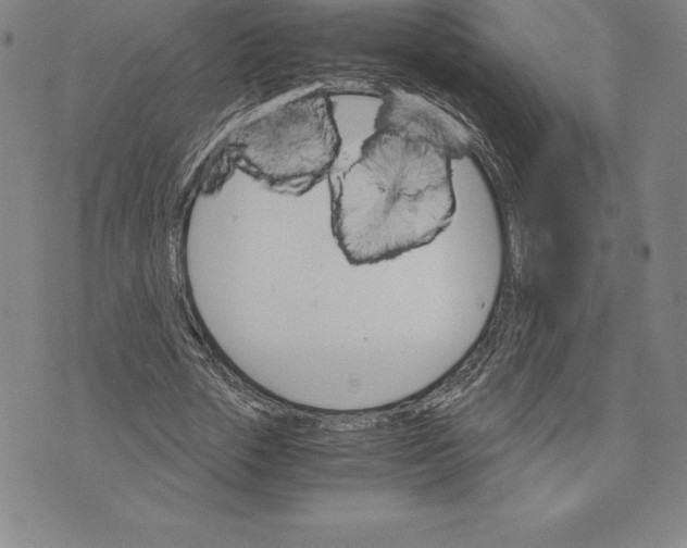 X0000074000729200609111557