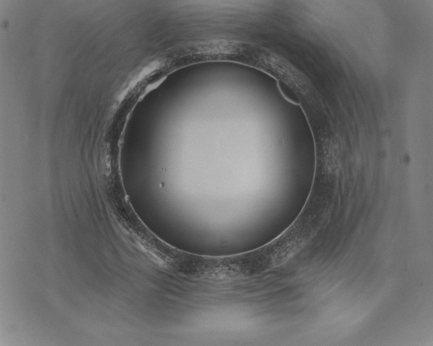 X0000074000731200609111557