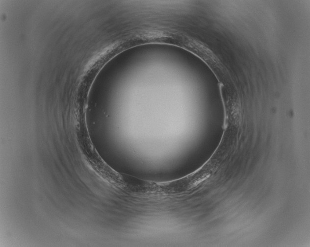 X0000074000732200609111558