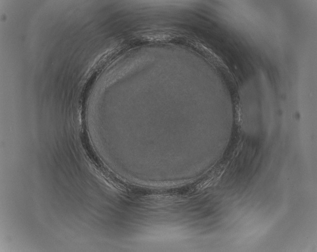 X0000074000733200609111558