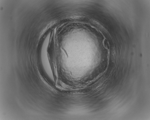 X0000074000734200609111558