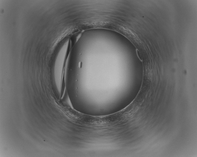 X0000074000735200609111558