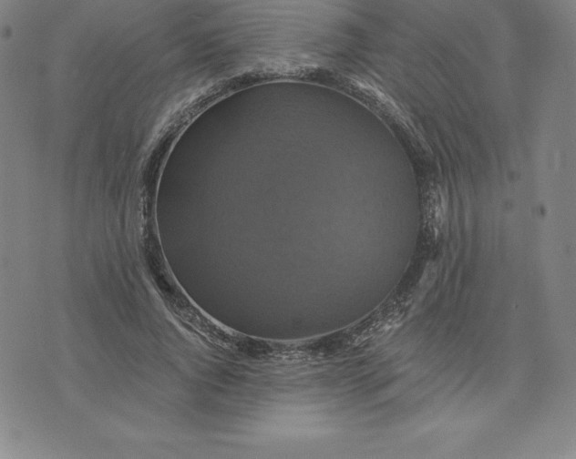 X0000074000736200609111558