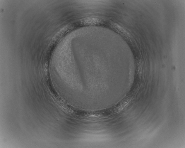 X0000074000737200609111558