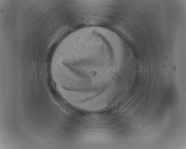 X0000074000738200609111558