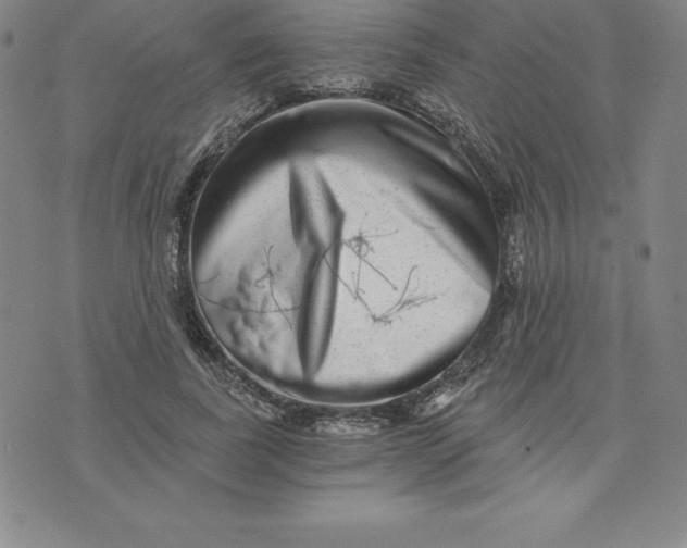 X0000074000739200609111558