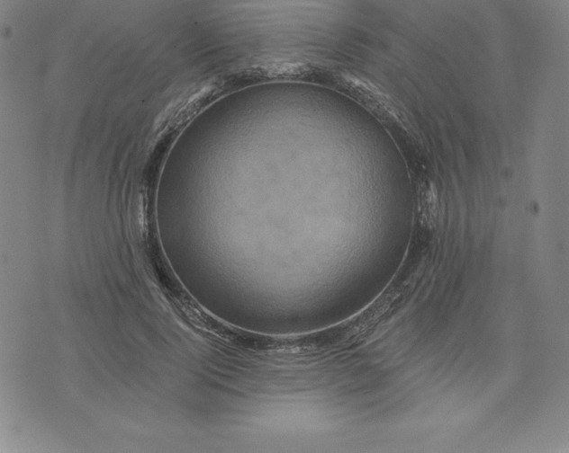 X0000074000740200609111558