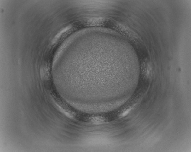 X0000074000741200609111558