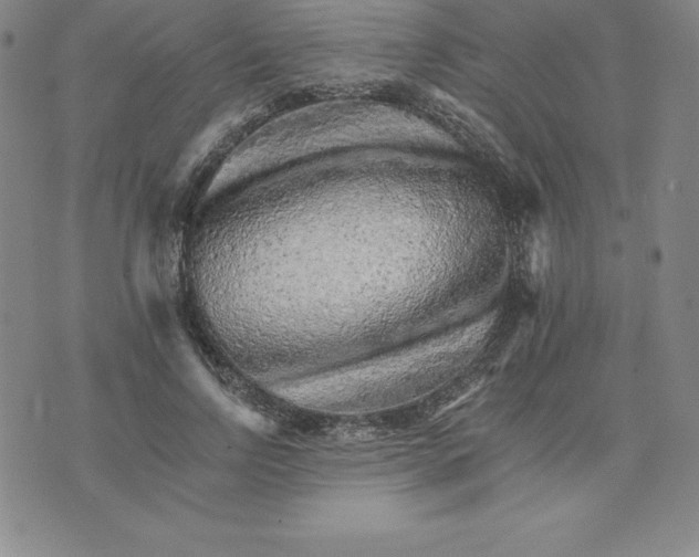 X0000074000742200609111558