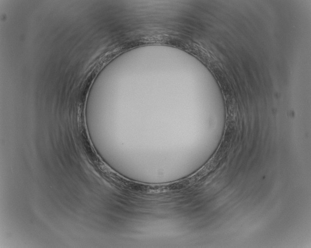 X0000074000744200609111558