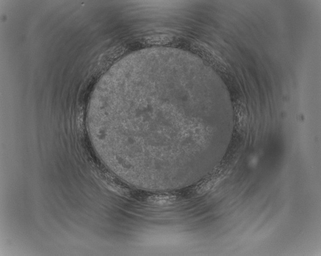 X0000074000745200609111558