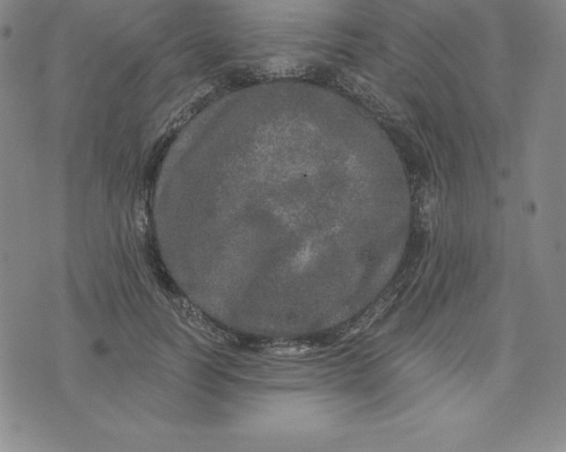 X0000074000746200609111558