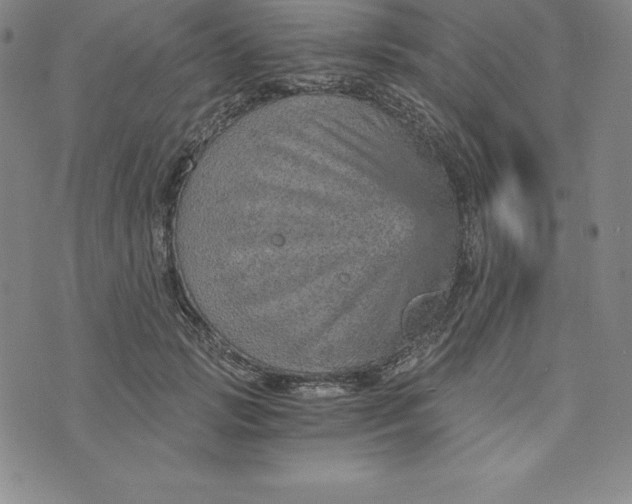 X0000074000749200609111558