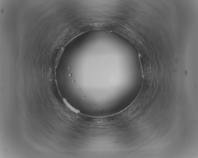 X0000074000750200609111558