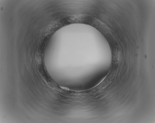 X0000074000751200609111558