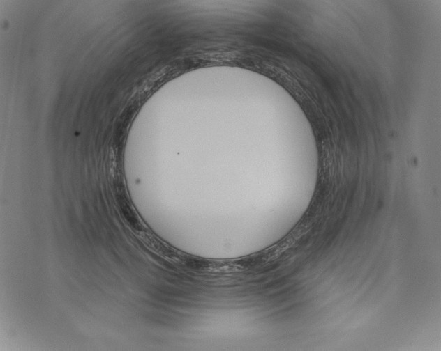 X0000074000752200609111558