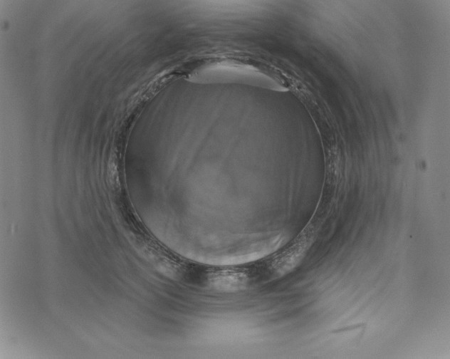 X0000074000754200609111558