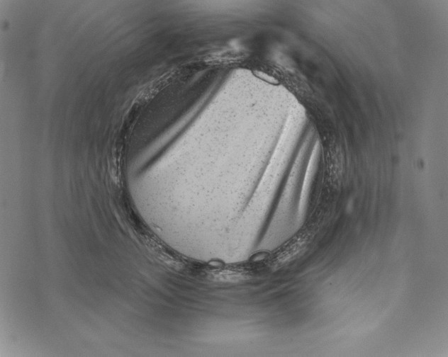 X0000074000755200609111558