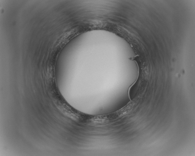 X0000074000756200609111558