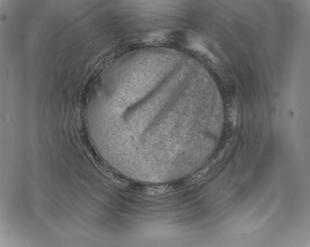 X0000074000757200609111558