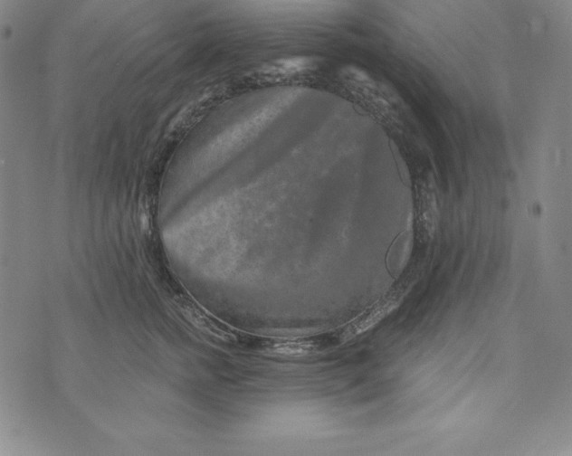 X0000074000758200609111558