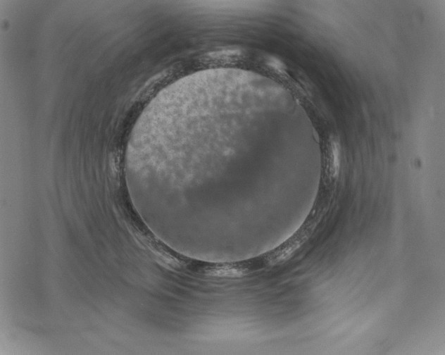 X0000074000759200609111558