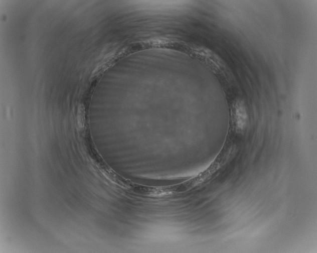 X0000074000760200609111558