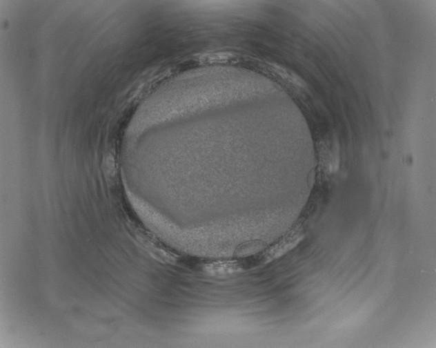 X0000074000761200609111558