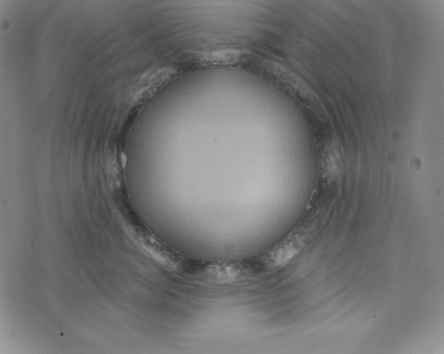 X0000074000764200609111558