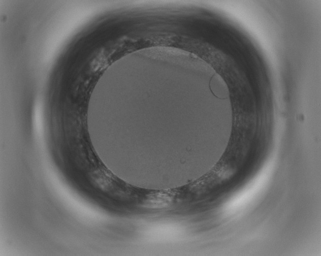 X0000074000765200609111558