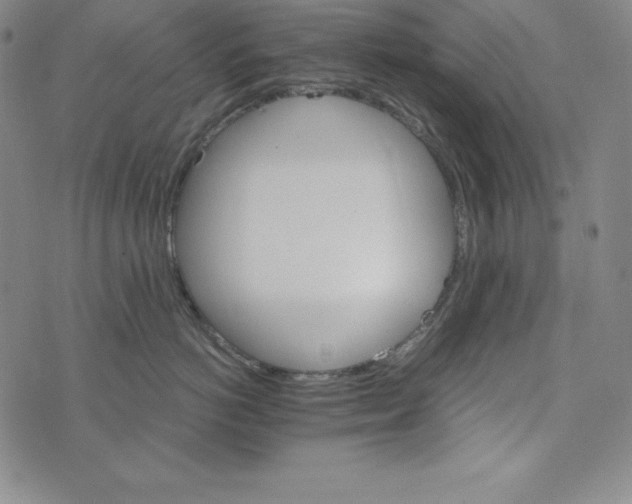 X0000074000766200609111558