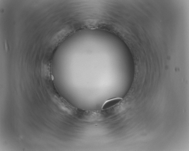 X0000074000768200609111558