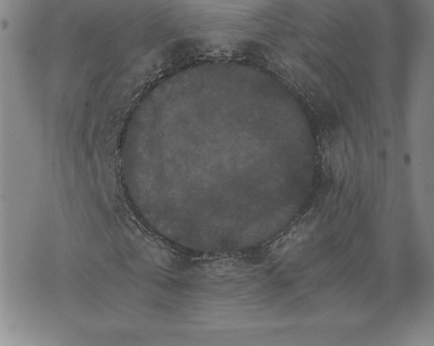 X0000074000769200609111557