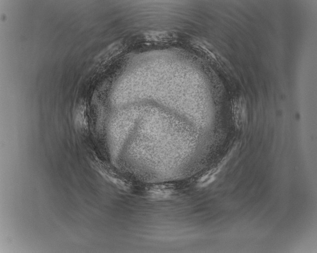 X0000074000770200609111557