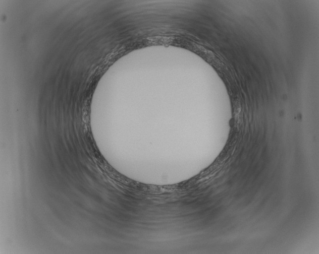 X0000074000772200609111557