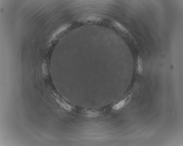 X0000074000774200609111557